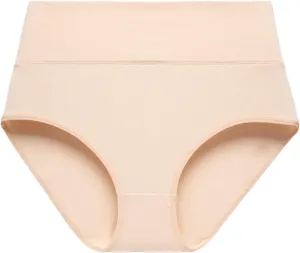 FZVYD Ice Silk Brief Panties for Women Seamless Underwear Mid-Rise Breathable Underpants Solid Color Soft Comfort Panty 2025